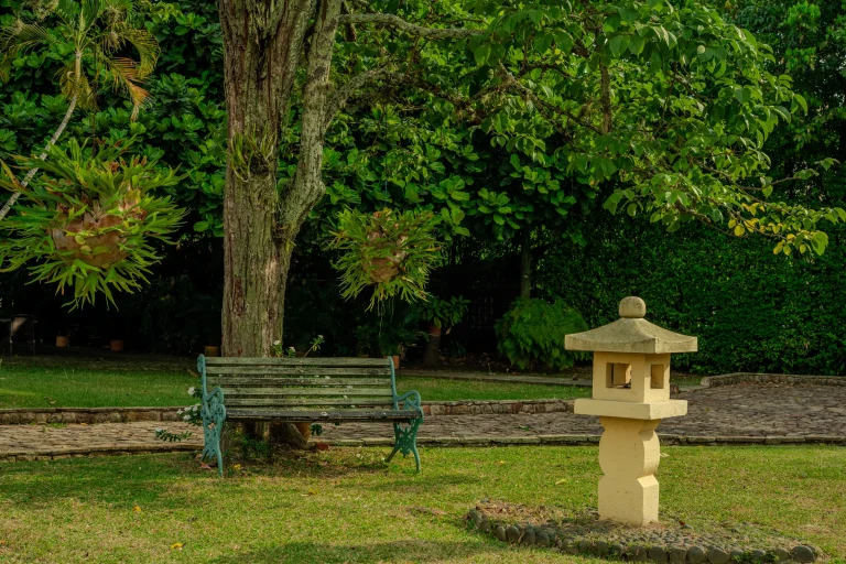 Hacienda El Limonar — foto 16
