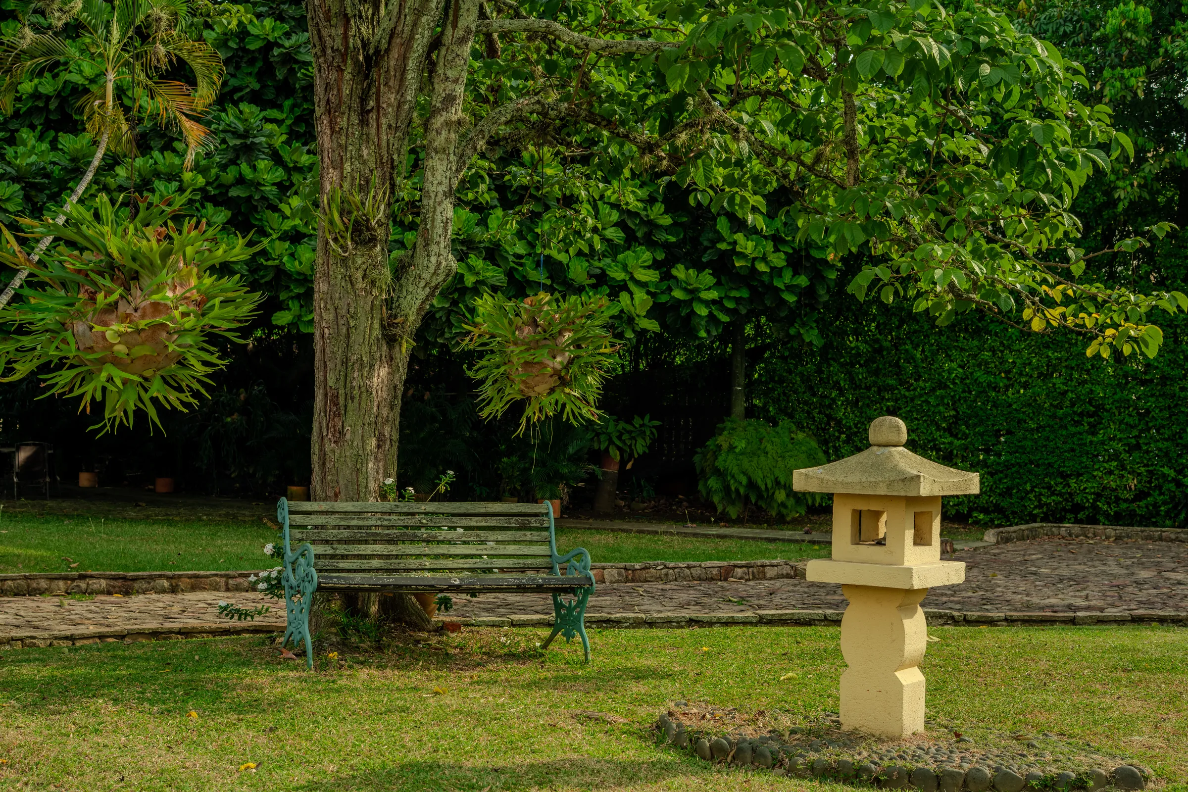 Hacienda El Limonar
